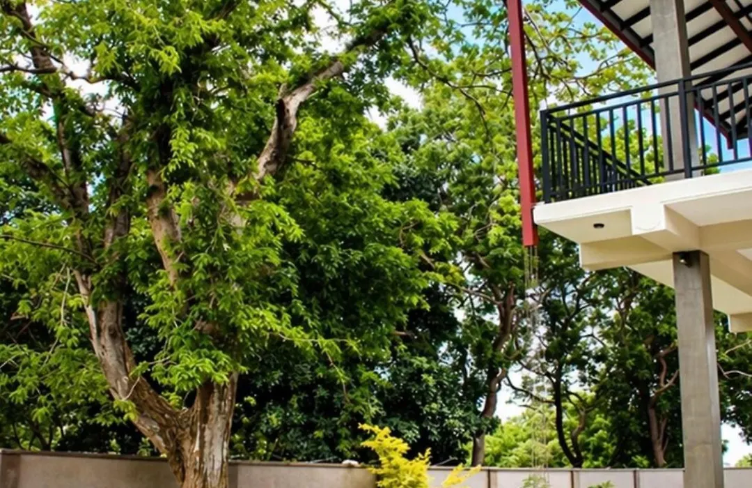 Araliya Villa-1